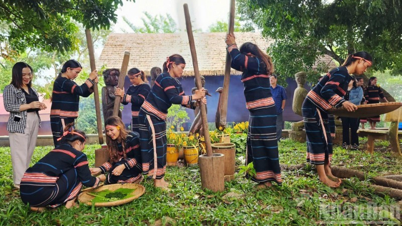 Làng Ơp trở thành làng du lịch cộng đồng kiểu mẫu, gắn với bảo tồn văn hóa dân tộc Gia Rai tại Pleiku.