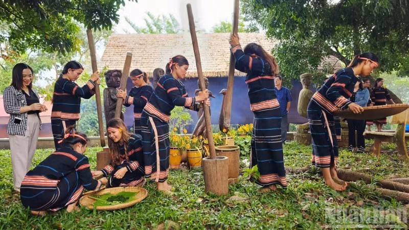 Làng Ơp trở thành làng du lịch cộng đồng kiểu mẫu, gắn với bảo tồn văn hóa dân tộc Gia Rai tại Pleiku.