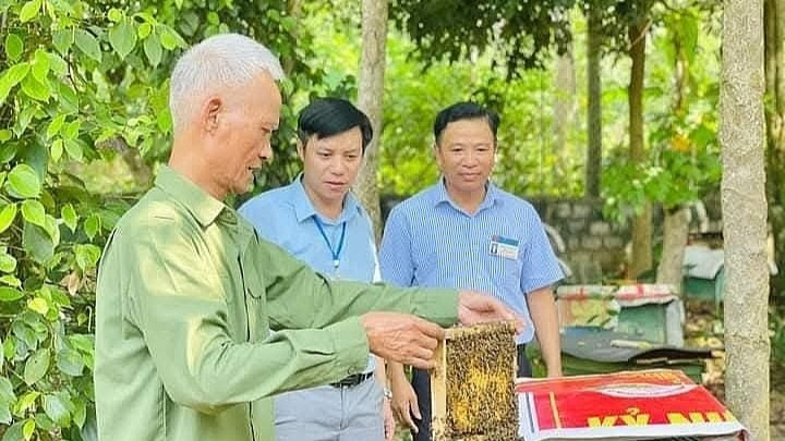 Người cao tuổi phát triển kinh tế gia đình