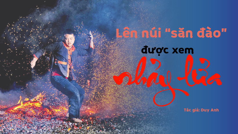 Lên núi "săn đào" được xem nhảy lửa