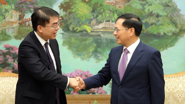 Phó Thủ tướng Bùi Thanh Sơn tiếp Giám đốc điều hành Tập đoàn Warburg Pincus Fan Li. (Ảnh: VGP/HẢI MINH)