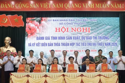 Dưới sự chứng kiến của lãnh đạo tỉnh, các đơn vị liên quan đã ký kết biên bản thỏa thuận hợp tác tiêu thụ vải năm 2026.