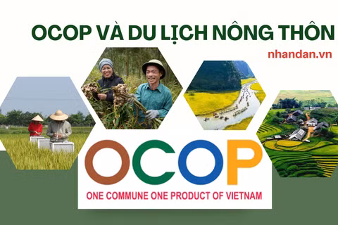 Bối cảnh mới đòi hỏi các sản phẩm OCOP và du lịch nông nghiệp, nông thôn phải chuyển đổi tư duy và phương pháp tiếp cận mới. (Ảnh: HNV)