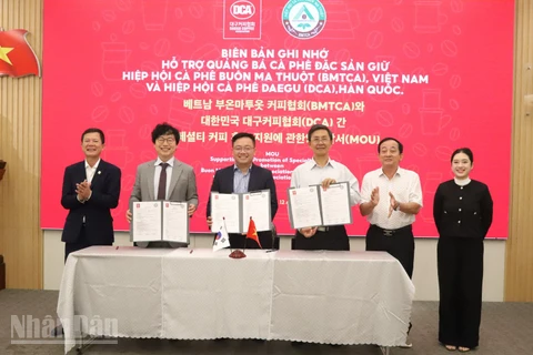 Hiệp hội Cà-phê Buôn Ma Thuột và Hiệp hội Cà-phê Daegu cùng thương hiệu MISS EDE ký kết biên bản ghi nhớ hỗ trợ quảng bá cà-phê đặc sản.