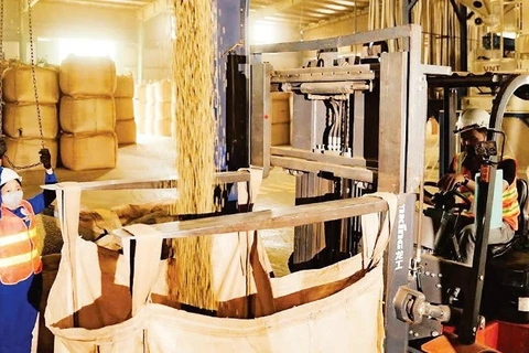 Vận hành sản xuất cà-phê tại Công ty Simexco DakLak. (Ảnh: MINH ANH)