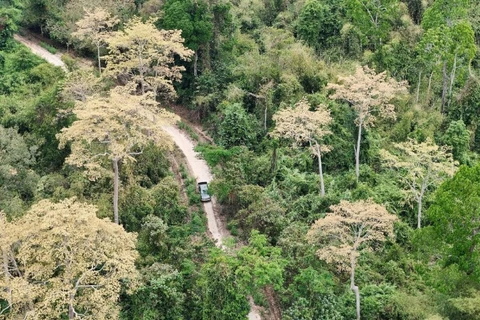 Diện tích rừng ở Khu Bảo tồn Đồng Nai đang được bảo vệ tốt.