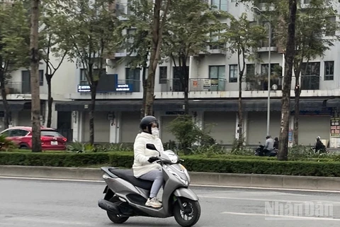 Dự báo khu vực Hà Nội trời rét đậm. (Ảnh minh họa: Đ.T)