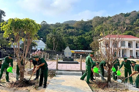 Cán bộ, chiến sĩ Đồn Biên phòng Hòn Khoai tham gia trồng cây sau lễ phát động phong trào. 