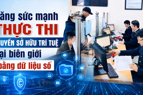 Chuyển đổi số và chia sẻ dữ liệu đang tạo điều kiện thuận lợi hơn cho công tác kiểm tra, giám sát và xử lý vi phạm.