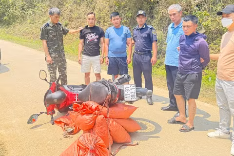 Lực lượng chức năng kiểm tra, bắt giữ các đối tượng và thu giữ tang vật nghi vảy tê tê tại Cao Bằng. 