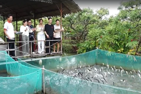 Du khách thích thú xem "cá lóc bay" ở làng du lịch cộng đồng cồn Sơn.