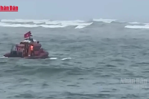[Video] Chìm thuyền đánh cá ở Quảng Trị, 1 ngư dân mất tích