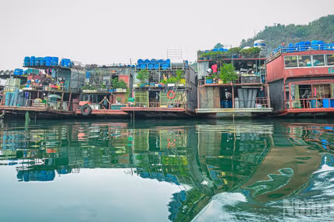 Những chiếc tàu buôn ngược dòng sông Đà phải đủ điều kiện đăng kiểm, bảo đảm an toàn trên hành trình suốt 10 phiên chợ, qua 7 ngày đêm. (Ảnh: BẢO LONG)