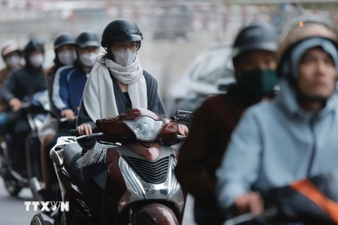 Ảnh minh họa: TTXVN.