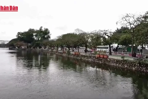 [Video] Miền Bắc mưa, rét từ ngày 7/2