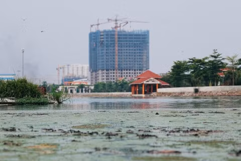 [Video] Hồ điều hòa Công viên Ngọc Thụy ô nhiễm, bốc mùi hôi