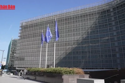 [Video] Tổng thống Mỹ Donald Trump đề xuất áp thuế tối thiểu 15-20% với hàng EU