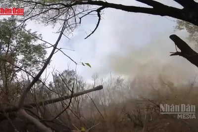 [Video] Nga – Ukraine khẳng định lập trường khi xung đột bước sang năm thứ 5 