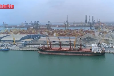 [Video] Mỹ áp thuế nhập khẩu với Hàn Quốc 15%, Ấn Độ 25%