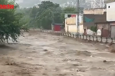 [Video] Lở đất, lũ quét khiến gần 200 người thiệt mạng tại Pakistan