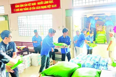 Các bạn trẻ phường Sa Đéc, tỉnh Đồng Tháp tiếp nhận, bốc xếp nhu yếu phẩm lên xe.