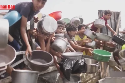 [Video] Hội Chữ thập đỏ, UNRWA quan ngại tình hình nhân đạo tại Dải Gaza 