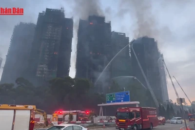 [Video] 3 người bị bắt giữ trong vụ cháy chung cư ở Hong Kong, ít nhất 44 người thiệt mạng 