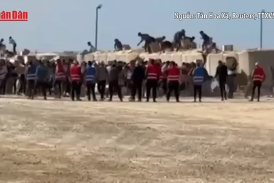 [Video] Quỹ Nhân đạo Gaza GHF của Mỹ tạm dừng phân phát viện trợ