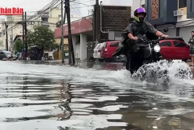 [Video] Philippines, Trung Quốc sơ tán hàng nghìn người dù bão Wipha đã qua