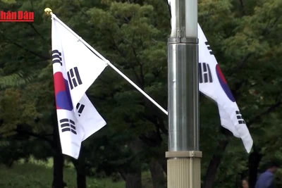 [Video] Tổng thống Hàn Quốc yêu cầu điều tra việc phân biệt đối xử và nợ lương người lao động nhập cư 