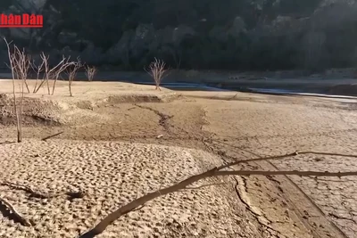 [Video] Nắng nóng gây thiệt hại 43 tỷ EUR cho châu Âu 