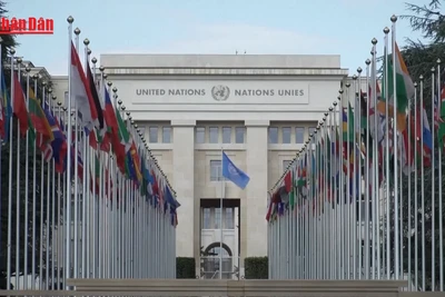 [Video] Liên hợp quốc đánh giá bất ổn thương mại toàn cầu 