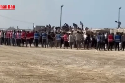 [Video] Israel bị tố nổ súng vào người xin lương thực, lực lượng Hamas cân nhắc ngừng đàm phán