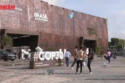 [Video] COP30 thông qua thỏa thuận khí hậu nhưng né tránh vấn đề nhiên liệu hóa thạch 