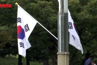 [Video] Số lượng sinh viên nước ngoài tại Hàn Quốc cao kỷ lục