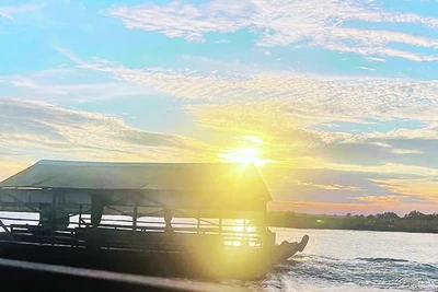 Thuyền du lịch đưa du khách tham quan Vườn quốc gia Tràm Chim.