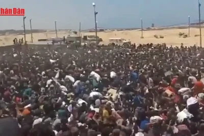 [Video] Dải Gaza: Giẫm đạp tại điểm cứu trợ GHF, 20 người thiệt mạng