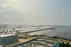 Nhà máy điện mặt trời Phù Mỹ 1,2,3 tại Gia Lai.