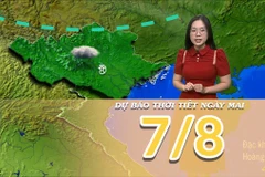 [Video] Dự báo thời tiết đêm nay và ngày mai 7/8/2025: Bắc Bộ có mưa về đêm và sáng sớm 