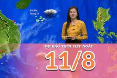[Video] Dự báo thời tiết ngày 11/8/2025: Trung Bộ mưa dông về chiều tối