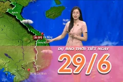 [Video] Dự báo thời tiết ngày 29/6/2025: Khu vực Bắc Bộ tiếp tục có mưa lớn trên diện rộng