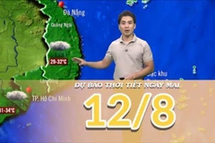 [Video] Dự báo thời tiết đêm nay và ngày mai 12/8/2025: Bắc Bộ có mưa về đêm