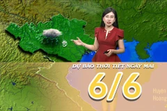 [Video] Dự báo thời tiết đêm nay và ngày mai 6/6/2025: Mưa giảm tại Bắc Bộ và Trung Bộ