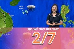 [Video] Dự báo thời tiết ngày 2/7/2025: Khu vực Bắc Bộ có mưa lớn trên diện rộng 