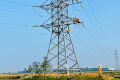 EVNNPC triển khai nâng cấp sửa chữa lưới điện. 