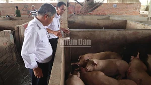 Đoàn kiểm tra liên ngành kiểm tra cơ sở giết mổ gia súc Dững-Nga vào ngày 2/6/2025.