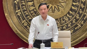 Phó Chủ tịch Quốc hội Nguyễn Khắc Định phát biểu chỉ đạo cuộc họp. (Ảnh: Hải Ngọc/TTXVN)
