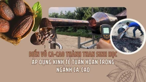 Biến vỏ ca-cao thành than sinh học - áp dụng kinh tế tuần hoàn trong ngành ca-cao