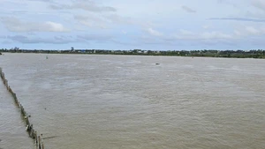Hạ lưu sông Yên ở tỉnh Thanh Hóa sau bão số 5.