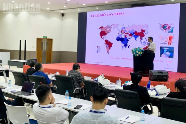 Chuyên gia y tế trình bày tham luận về sản nhi tại hội thảo.